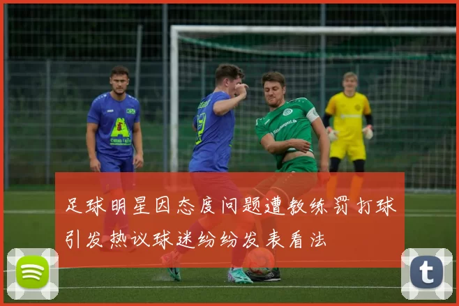 足球明星因态度问题遭教练罚打球引发热议球迷纷纷发表看法