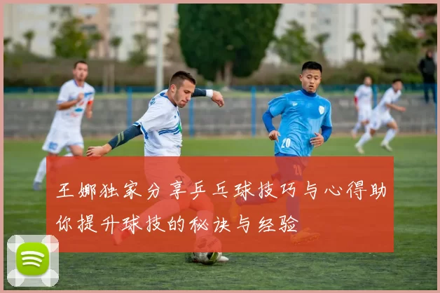 王娜独家分享乒乓球技巧与心得助你提升球技的秘诀与经验