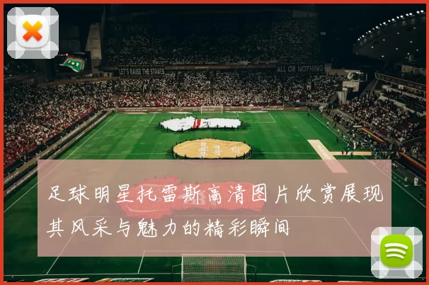 足球明星托雷斯高清图片欣赏展现其风采与魅力的精彩瞬间