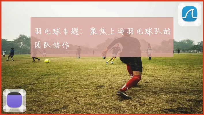 羽毛球专题：聚焦上海羽毛球队的团队协作