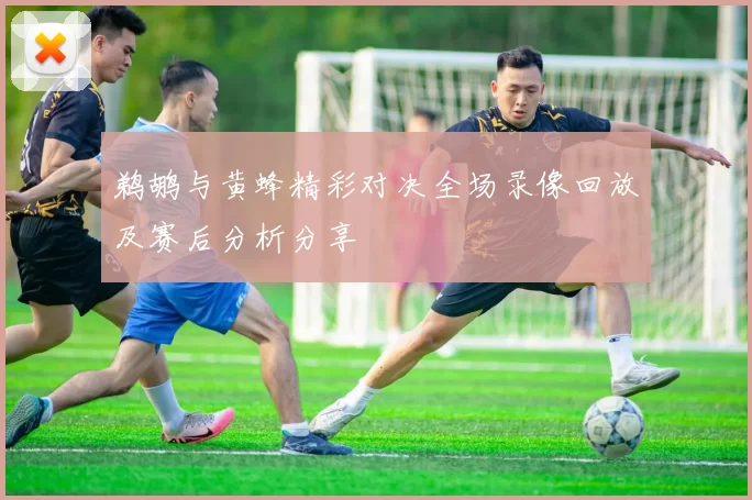 鹈鹕与黄蜂精彩对决全场录像回放及赛后分析分享