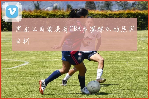 黑龙江目前没有CBA参赛球队的原因分析