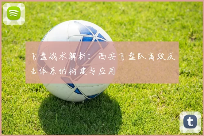 飞盘战术解析：西安飞盘队高效反击体系的构建与应用