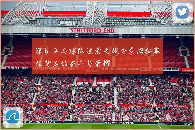 深圳乒乓球队逆袭之旅全景揭秘赛场背后的奋斗与荣耀