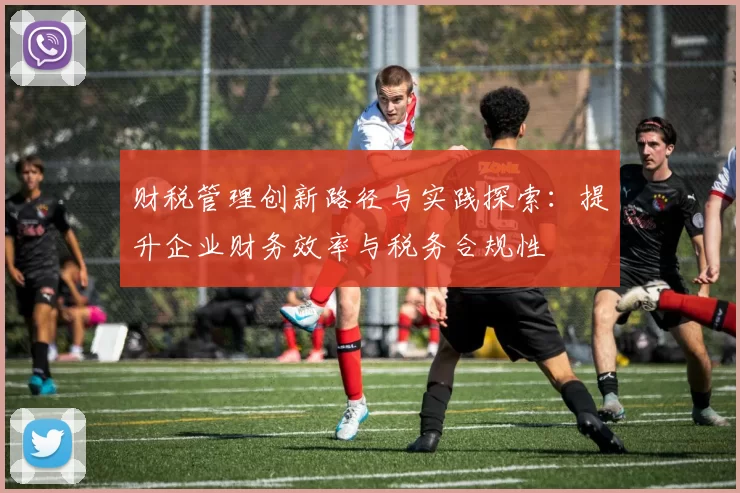 财税管理创新路径与实践探索：提升企业财务效率与税务合规性