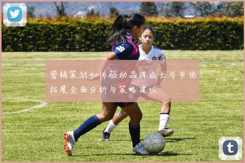 营销策划如何驱动品牌成长与市场拓展全面分析与策略建议