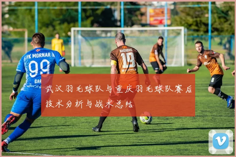 武汉羽毛球队与重庆羽毛球队赛后技术分析与战术总结