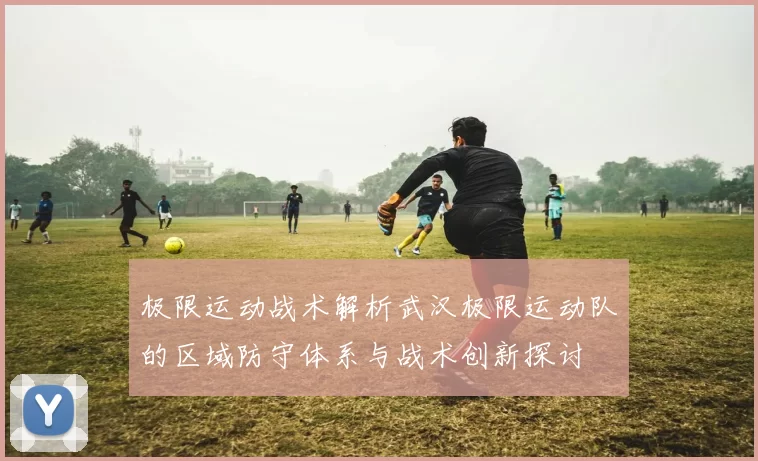 极限运动战术解析武汉极限运动队的区域防守体系与战术创新探讨