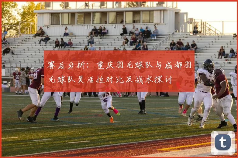 赛后分析：重庆羽毛球队与成都羽毛球队灵活性对比及战术探讨