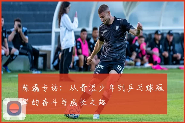 陈磊专访：从青涩少年到乒乓球冠军的奋斗与成长之路