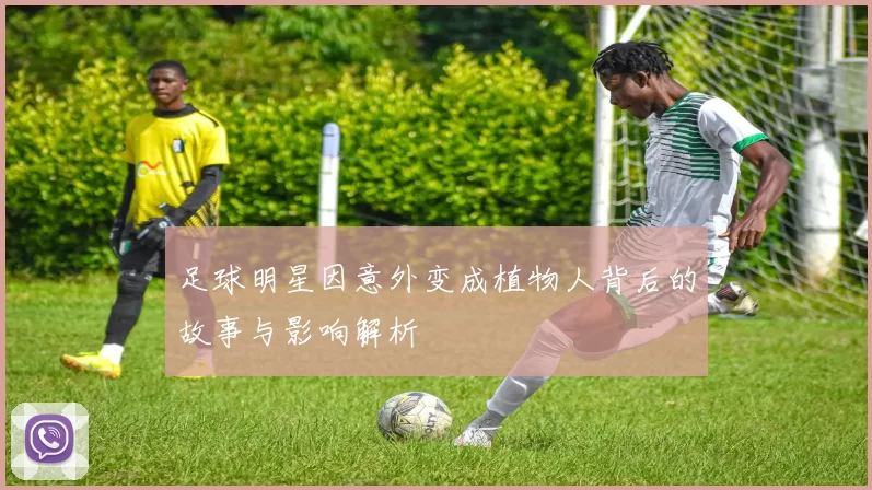 足球明星因意外变成植物人背后的故事与影响解析