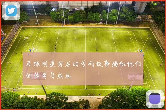 足球明星背后的号码故事揭秘他们的传奇与成就