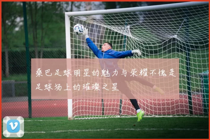 桑巴足球明星的魅力与荣耀不愧是足球场上的璀璨之星