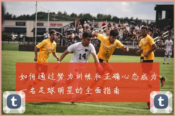 如何通过努力训练和正确心态成为一名足球明星的全面指南