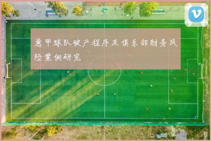 意甲球队破产程序及俱乐部财务风险案例研究