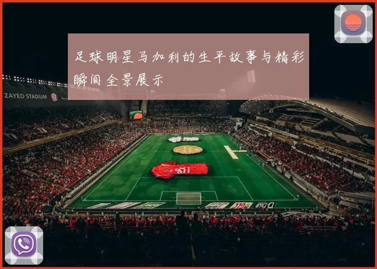 足球明星马加利的生平故事与精彩瞬间全景展示