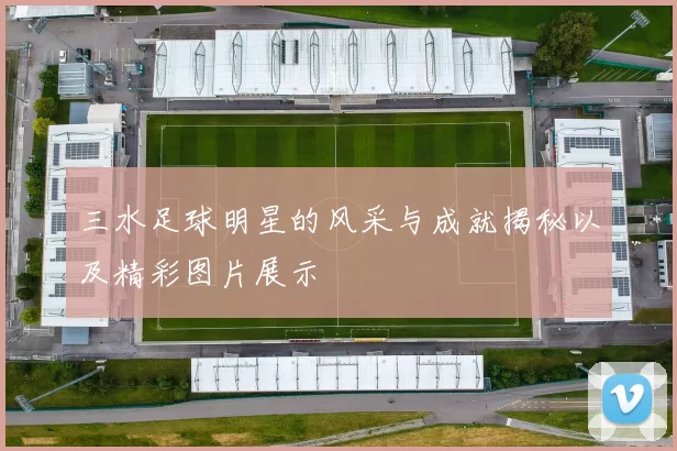 三水足球明星的风采与成就揭秘以及精彩图片展示