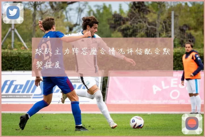球队主力阵容磨合情况评估配合默契程度