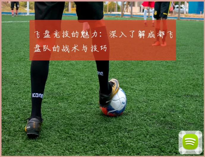 飞盘竞技的魅力：深入了解成都飞盘队的战术与技巧