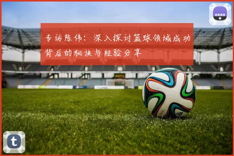 专访陈伟：深入探讨篮球领域成功背后的秘诀与经验分享