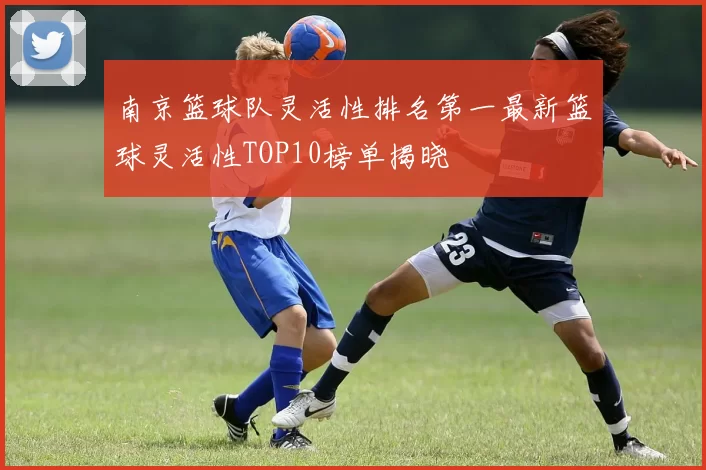 南京篮球队灵活性排名第一最新篮球灵活性TOP10榜单揭晓