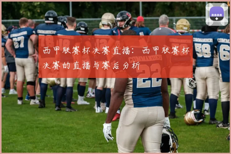 西甲联赛杯决赛直播：西甲联赛杯决赛的直播与赛后分析